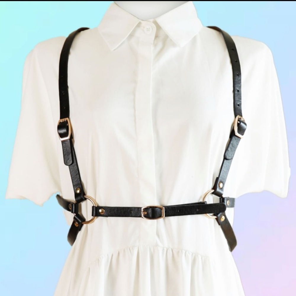Harness belt
